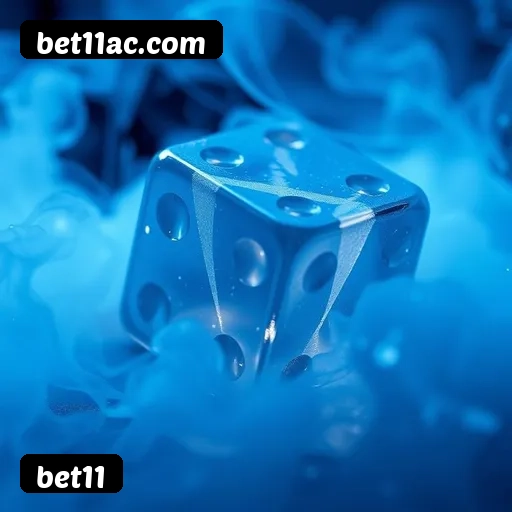 Recursos Exclusivos do App bet11 - Modo Offline, Login Biométrico